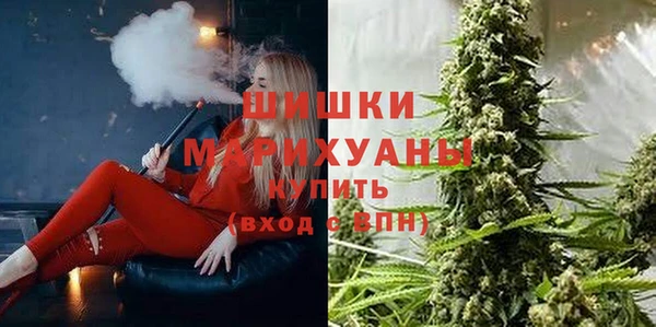 трава Арсеньев