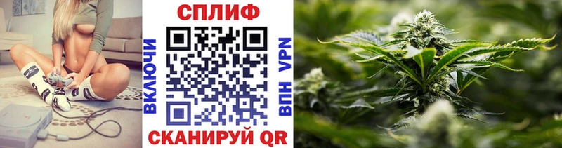наркота  Сегежа  Конопля Bruce Banner 